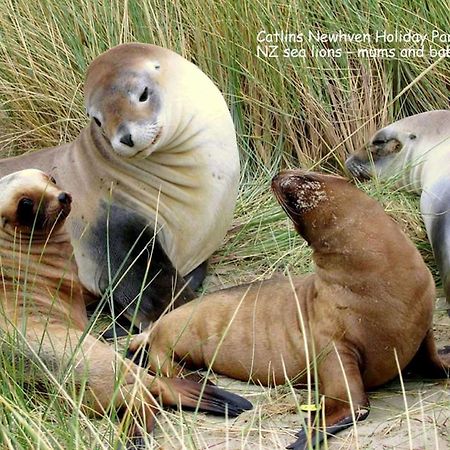 Catlins Newhaven Holiday Park Owaka Esterno foto