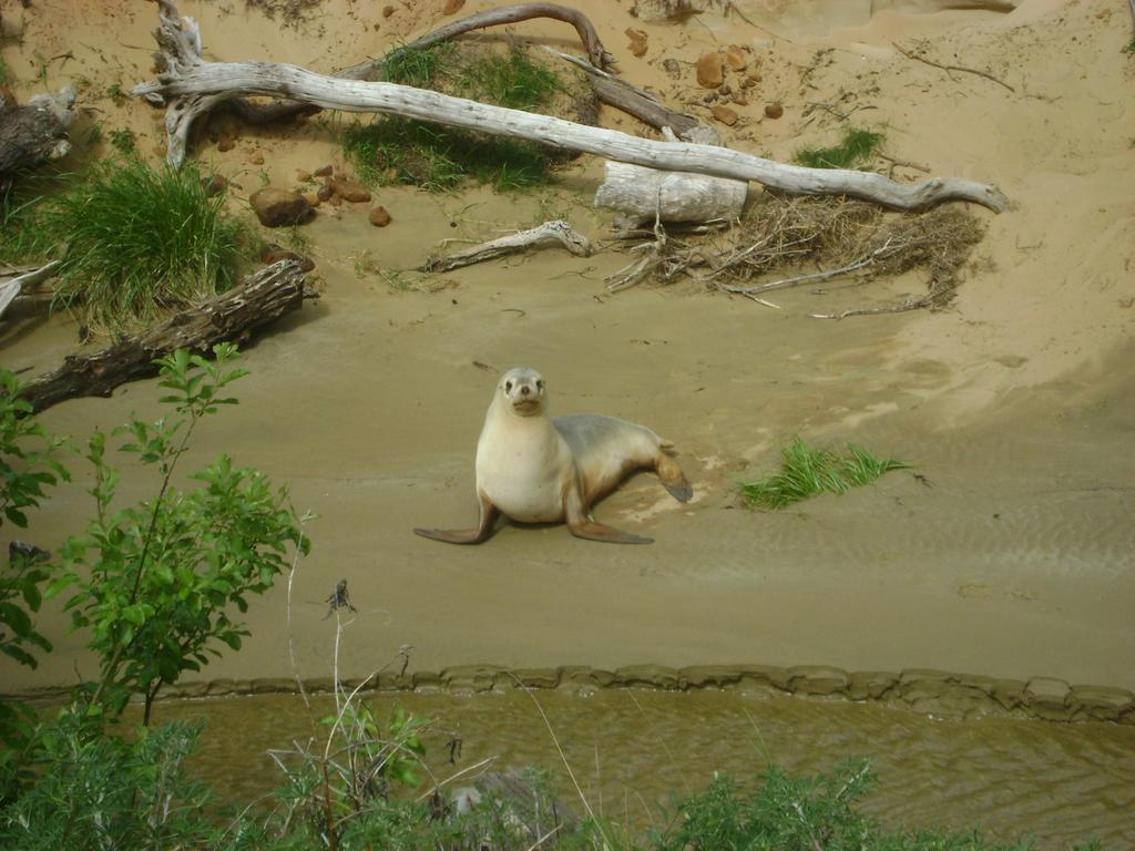 Catlins Newhaven Holiday Park Owaka Esterno foto
