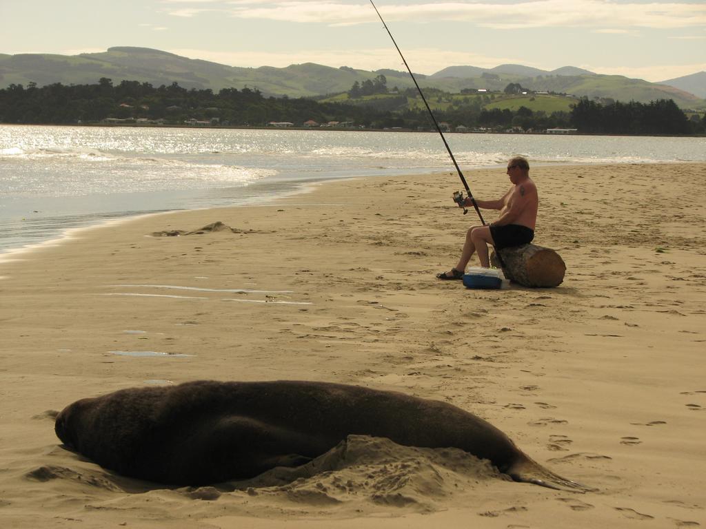 Catlins Newhaven Holiday Park Owaka Esterno foto