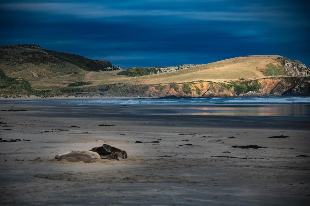 Catlins Newhaven Holiday Park Owaka Esterno foto